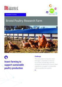 Bristol Poultry Research Farm - insect farming