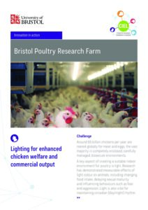 Bristol Poultry Research Farm - Lighting for enhanced chicken welfare