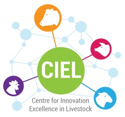 CIEL Logo