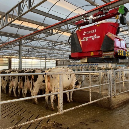 Dairy cow | Duchy Future Farming | CIEL