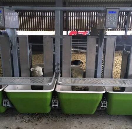 Mobile Sheep Intake Forage Bins | SRUC