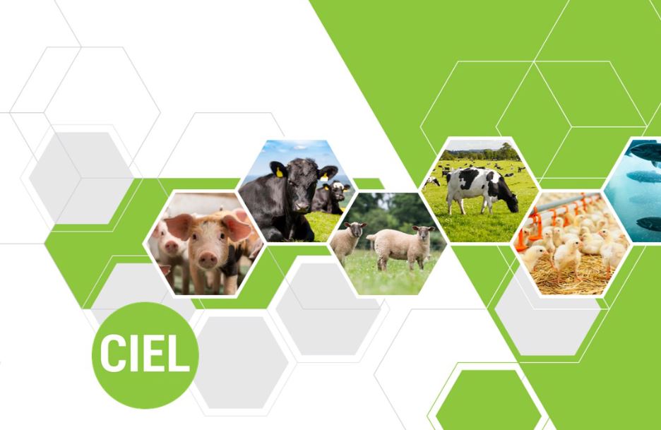 Emerging Technologies in Animal Health 5 May 2022