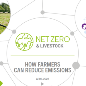 net zero targets for livestock